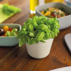 PORTAVASO SINGOLO "TIERRA"