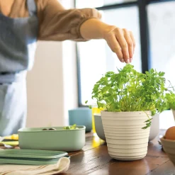 PORTAVASO SINGOLO "TIERRA"